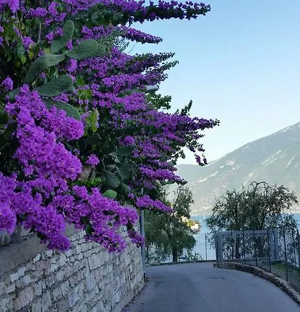 Augusta Garni Limone sul Garda