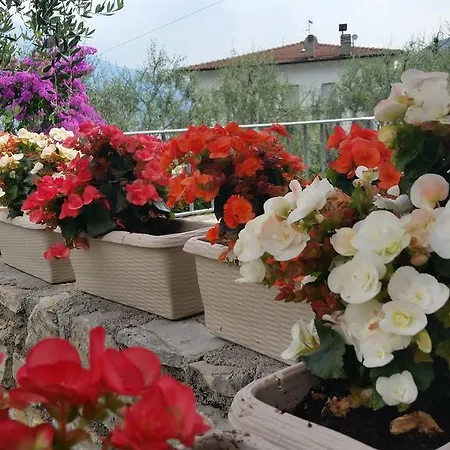 Augusta Garni Отель