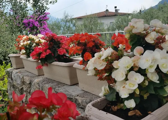 Augusta Garni Hotel