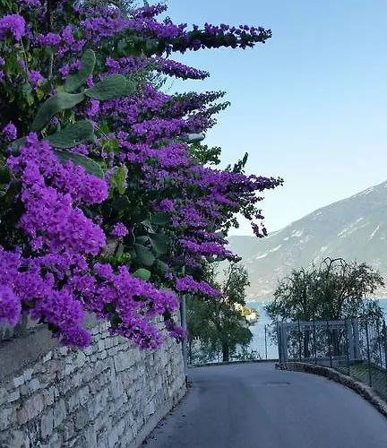 Augusta Garni Limone sul Garda